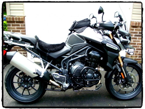 TechSpec Gripster Tank Grips - Tiger Explorer 1200 / XC